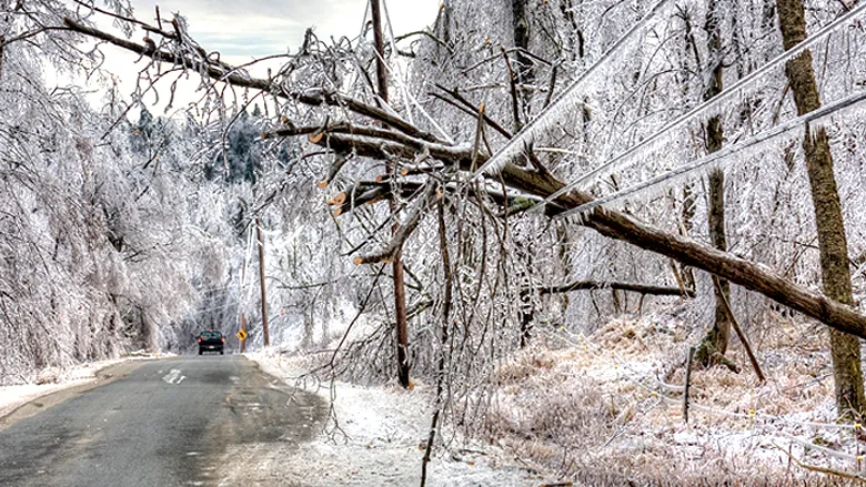 Adverse weather and branch closings