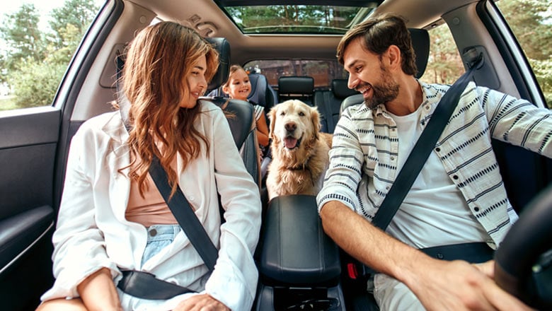 Truliant Auto Insurance Services